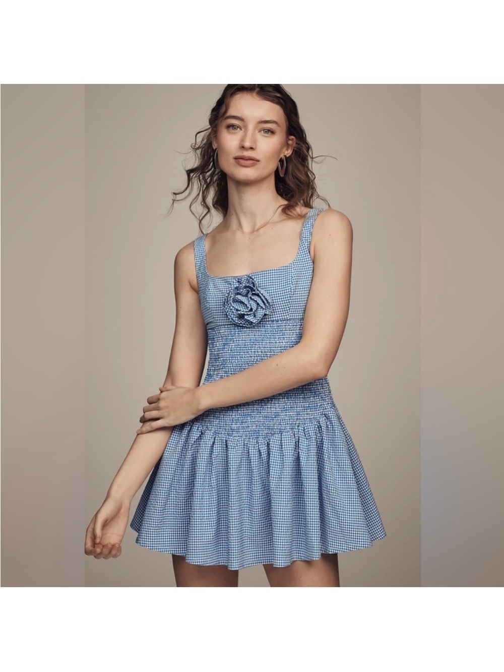 ANTHROPOLOGIE Smocked Rosette Drop-Waist Mini Dress NWT Size Large